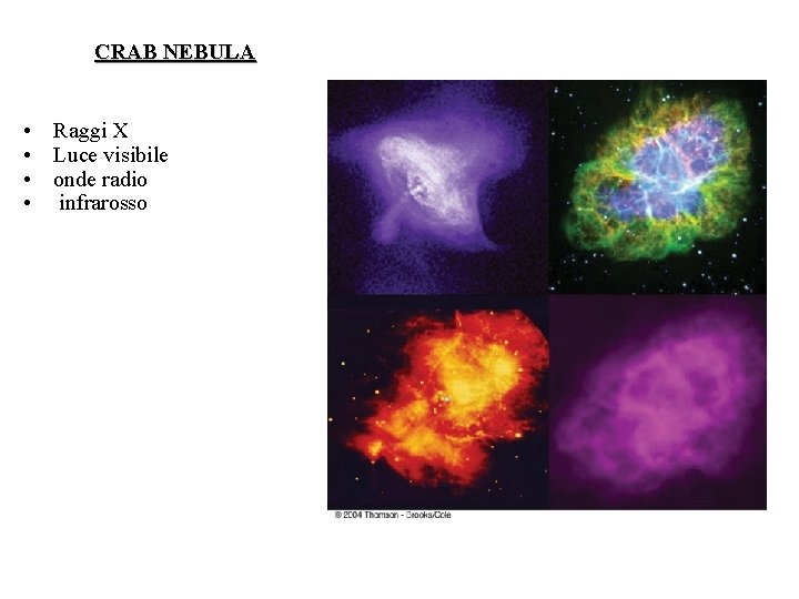 CRAB NEBULA • Raggi X • Luce visibile • onde radio • infrarosso 