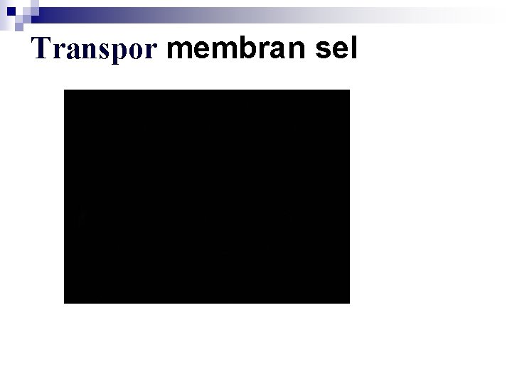 Transpor membran sel 