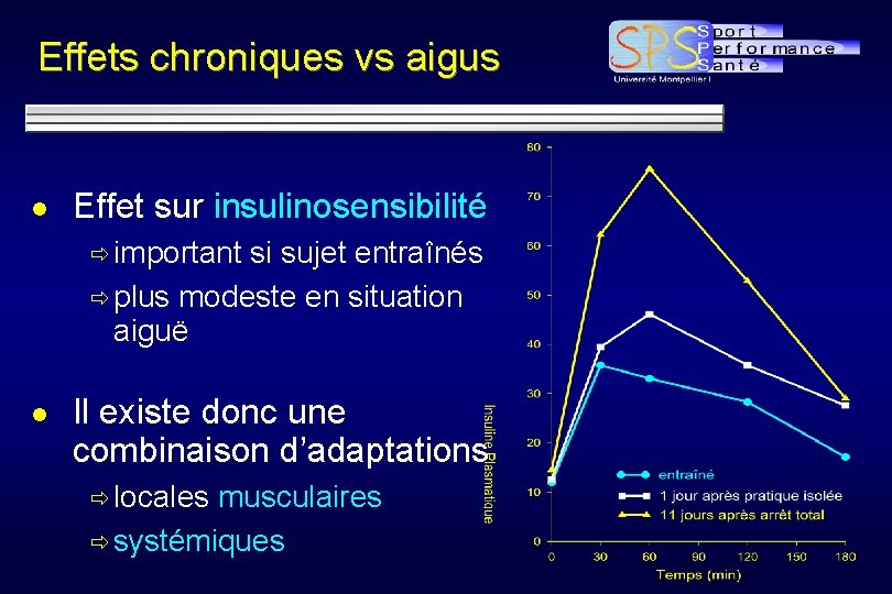 Effets chroniques vs aigus l Effet sur insulinosensibilité ð important si sujet entraînés ð