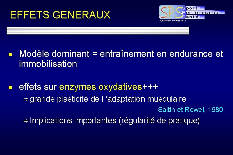 EFFETS GENERAUX l Modèle dominant = entraînement en endurance et immobilisation l effets sur