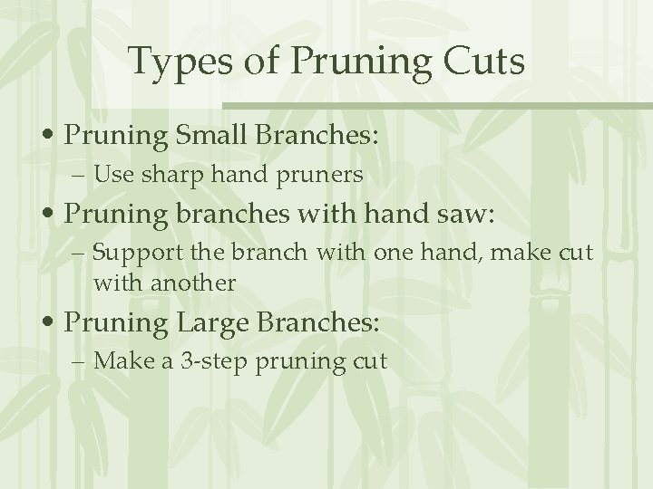 Types of Pruning Cuts • Pruning Small Branches: – Use sharp hand pruners •