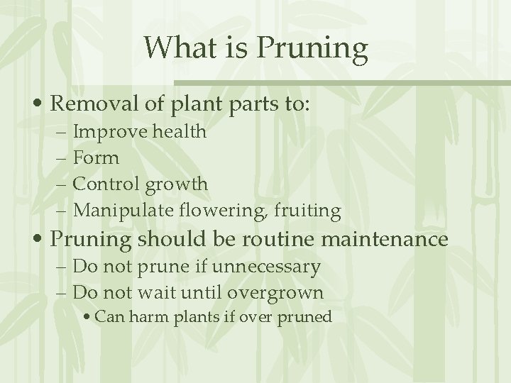What is Pruning • Removal of plant parts to: – Improve health – Form