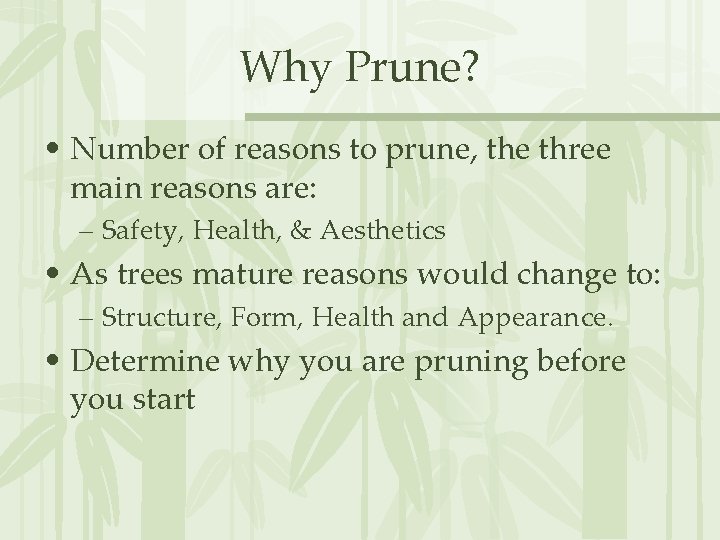 Why Prune? • Number of reasons to prune, the three main reasons are: –
