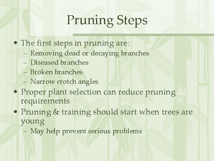 Pruning Steps • The first steps in pruning are: – – Removing dead or