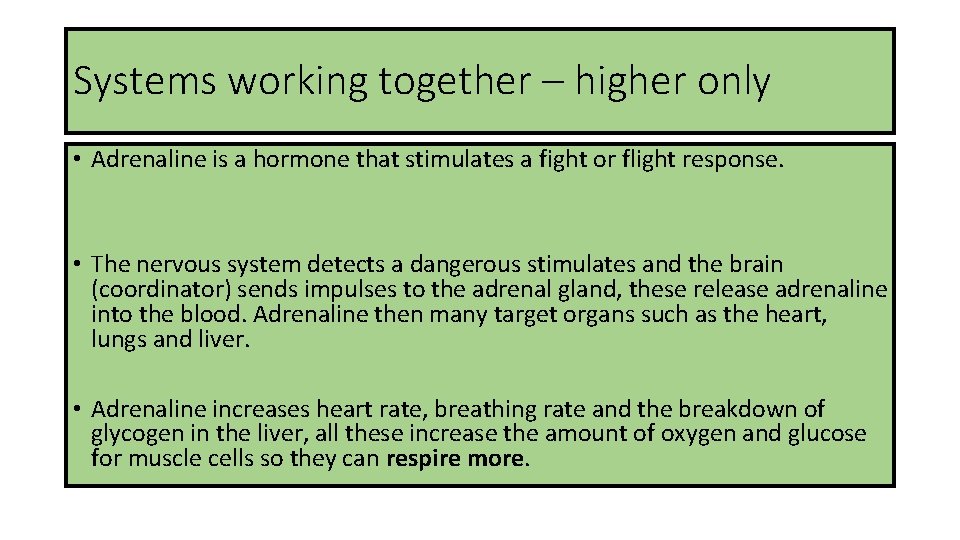 Systems working together – higher only • Adrenaline is a hormone that stimulates a