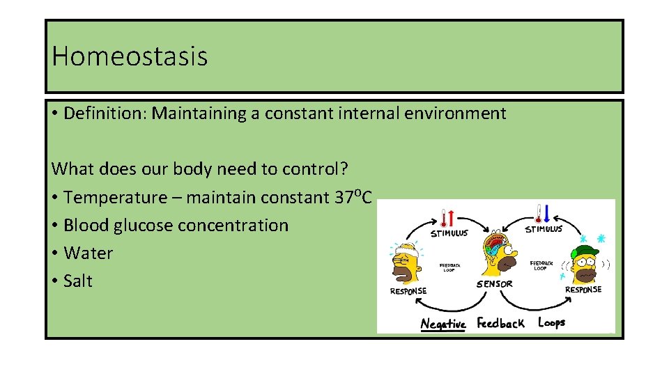 Homeostasis • Definition: Maintaining a constant internal environment What does our body need to