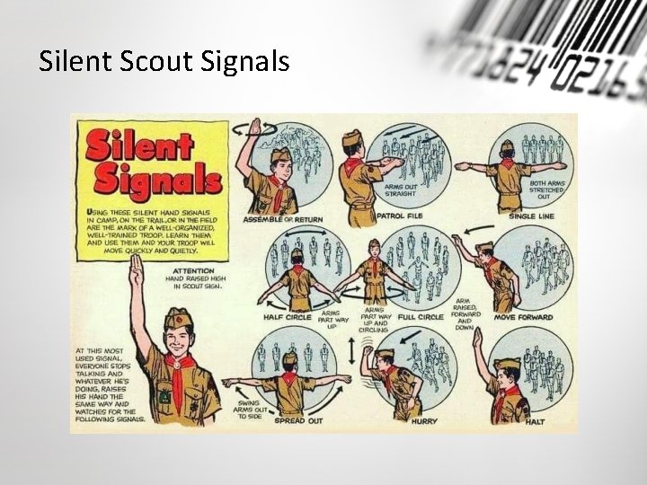 Silent Scout Signals 