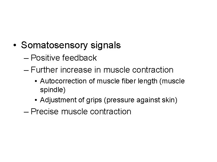  • Somatosensory signals – Positive feedback – Further increase in muscle contraction •