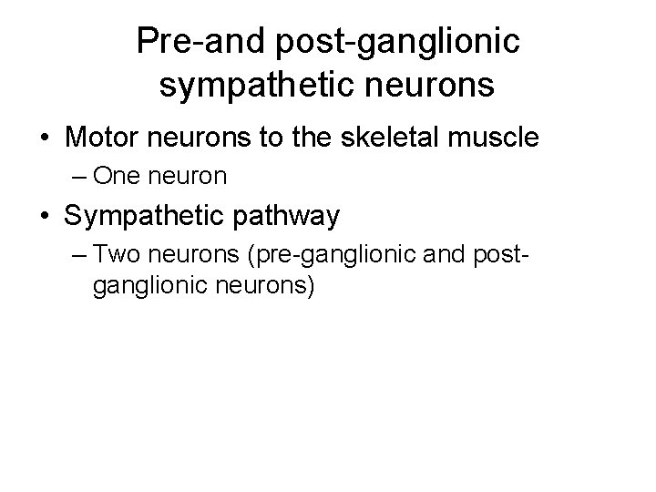Pre-and post-ganglionic sympathetic neurons • Motor neurons to the skeletal muscle – One neuron