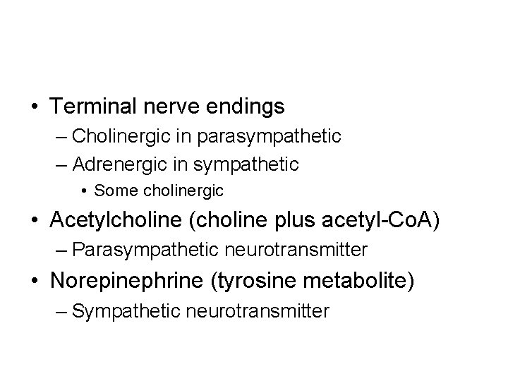  • Terminal nerve endings – Cholinergic in parasympathetic – Adrenergic in sympathetic •