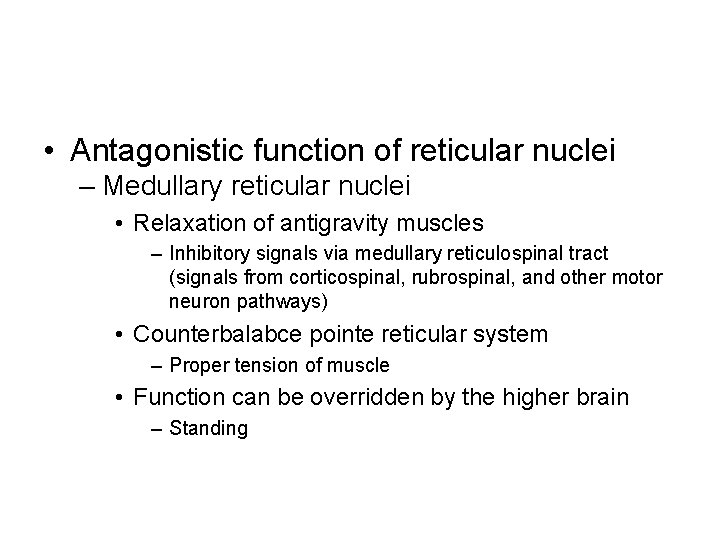  • Antagonistic function of reticular nuclei – Medullary reticular nuclei • Relaxation of