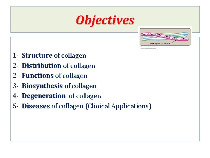 Objectives 122345 - Structure of collagen Distribution of collagen Functions of collagen Biosynthesis of