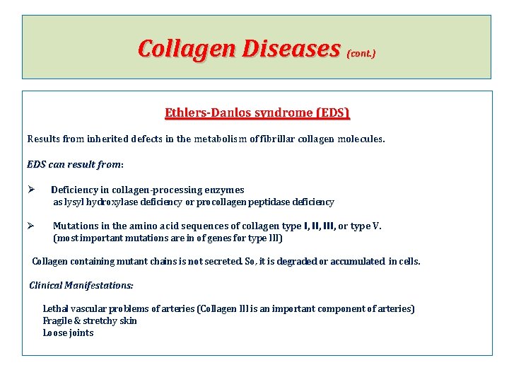 Collagen Diseases (cont. ) Ethlers-Danlos syndrome (EDS) Results from inherited defects in the metabolism