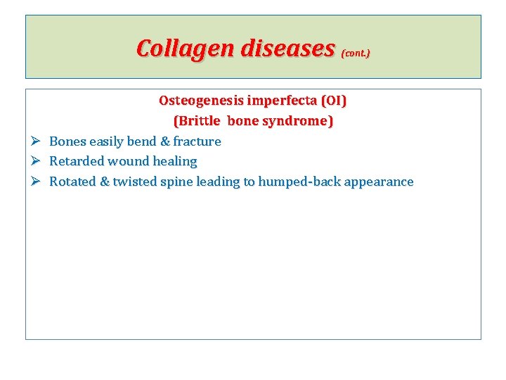 Collagen diseases Ø Ø Ø (cont. ) Osteogenesis imperfecta (OI) (Brittle bone syndrome) Bones