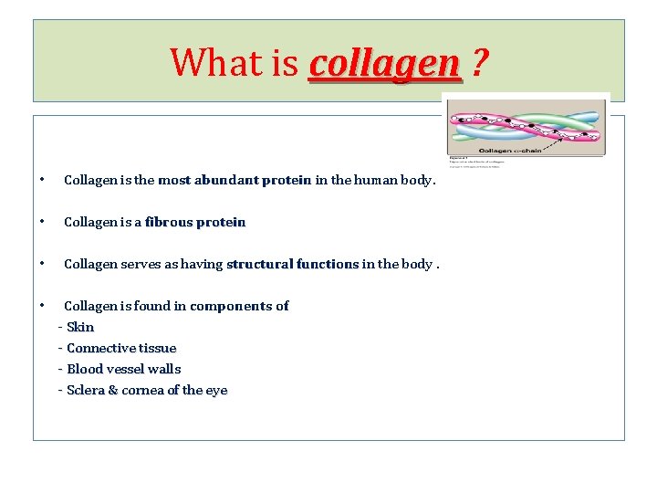 What is collagen ? • Collagen is the most abundant protein in the human