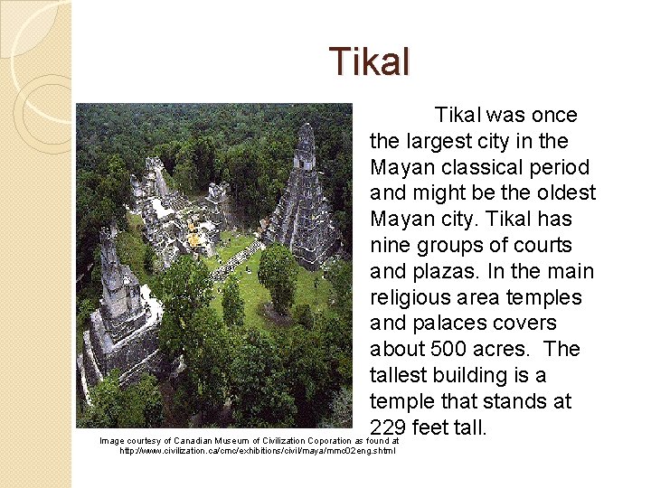 Tikal was once the largest city in the Mayan classical period and might be