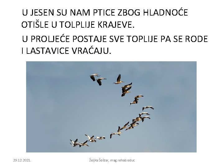 U JESEN SU NAM PTICE ZBOG HLADNOĆE OTIŠLE U TOLPLIJE KRAJEVE. U PROLJEĆE POSTAJE