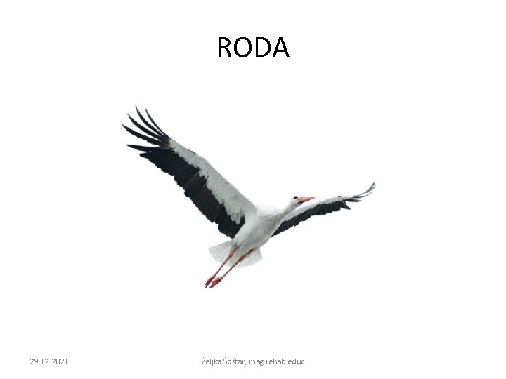 RODA 29. 12. 2021. Željka Šoštar, mag. rehab. educ 
