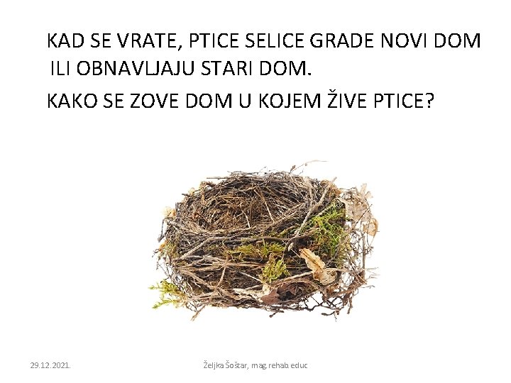 KAD SE VRATE, PTICE SELICE GRADE NOVI DOM ILI OBNAVLJAJU STARI DOM. KAKO SE