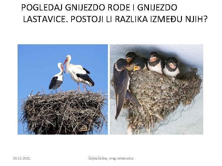 POGLEDAJ GNIJEZDO RODE I GNIJEZDO LASTAVICE. POSTOJI LI RAZLIKA IZMEĐU NJIH? 29. 12. 2021.