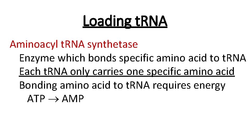 Loading t. RNA Aminoacyl t. RNA synthetase Enzyme which bonds specific amino acid to
