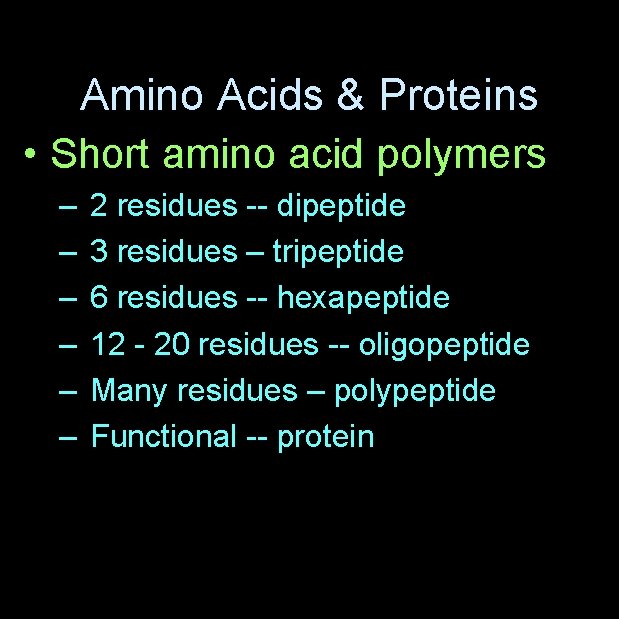 Amino Acids & Proteins • Short amino acid polymers – – – 2 residues