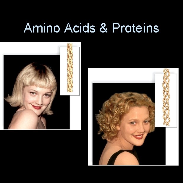 Amino Acids & Proteins 