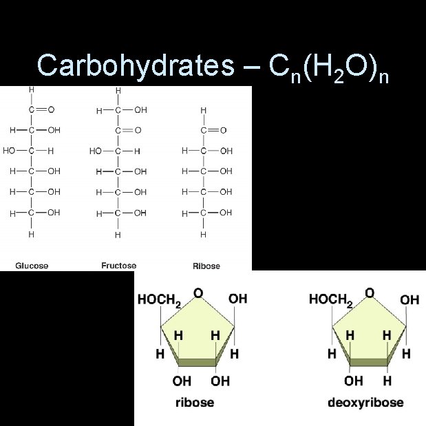 Carbohydrates – Cn(H 2 O)n 