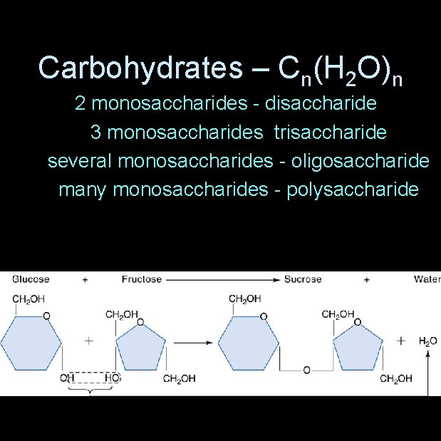 Carbohydrates – Cn(H 2 O)n 2 monosaccharides - disaccharide 3 monosaccharides trisaccharide several monosaccharides