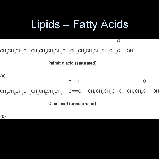 Lipids – Fatty Acids 