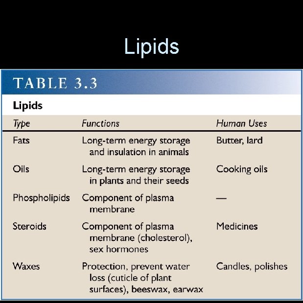 Lipids 