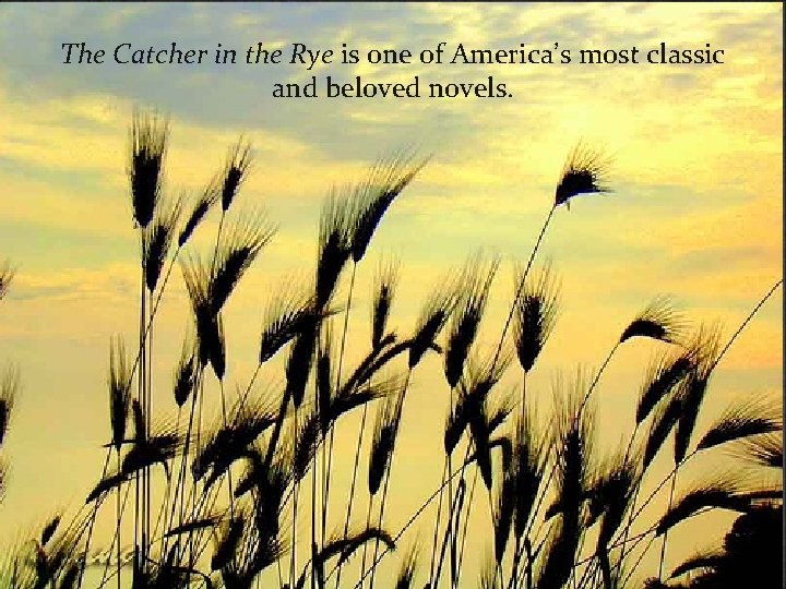 The Catcher in the Rye is one of America’s most classic and beloved novels.