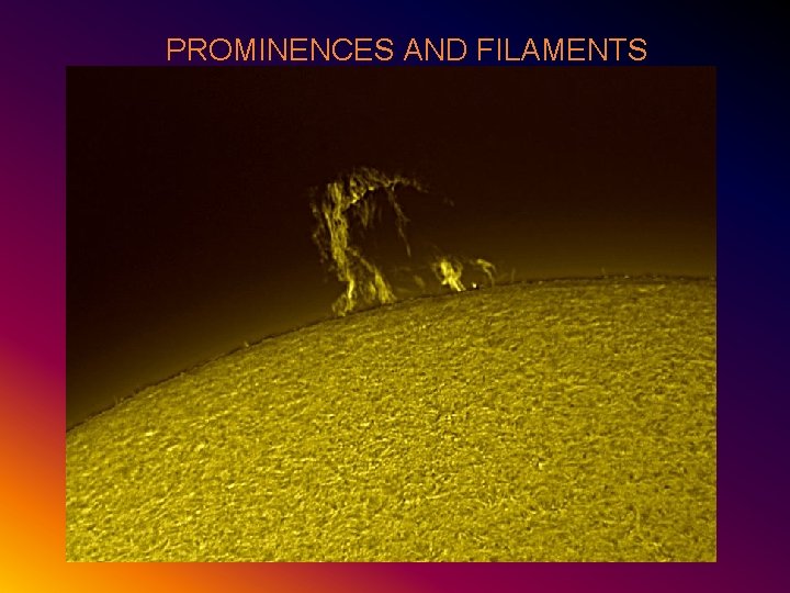 PROMINENCES AND FILAMENTS 