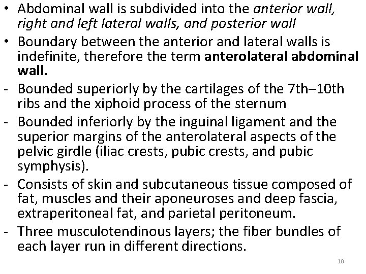  • Abdominal wall is subdivided into the anterior wall, right and left lateral