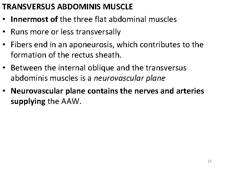 TRANSVERSUS ABDOMINIS MUSCLE • Innermost of the three flat abdominal muscles • Runs more