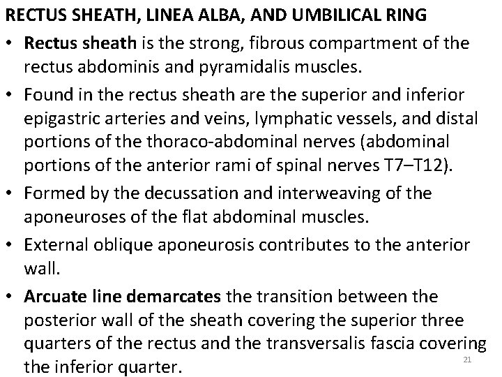 RECTUS SHEATH, LINEA ALBA, AND UMBILICAL RING • Rectus sheath is the strong, fibrous