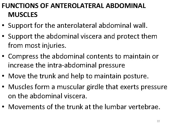 FUNCTIONS OF ANTEROLATERAL ABDOMINAL MUSCLES • Support for the anterolateral abdominal wall. • Support