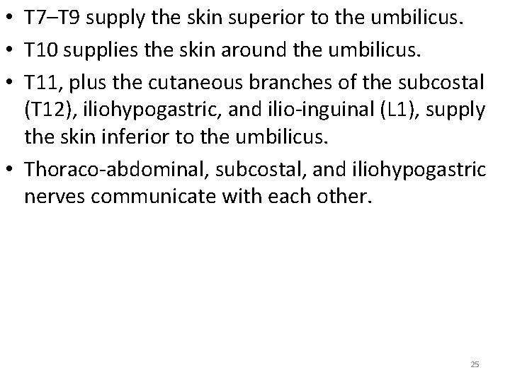  • T 7–T 9 supply the skin superior to the umbilicus. • T