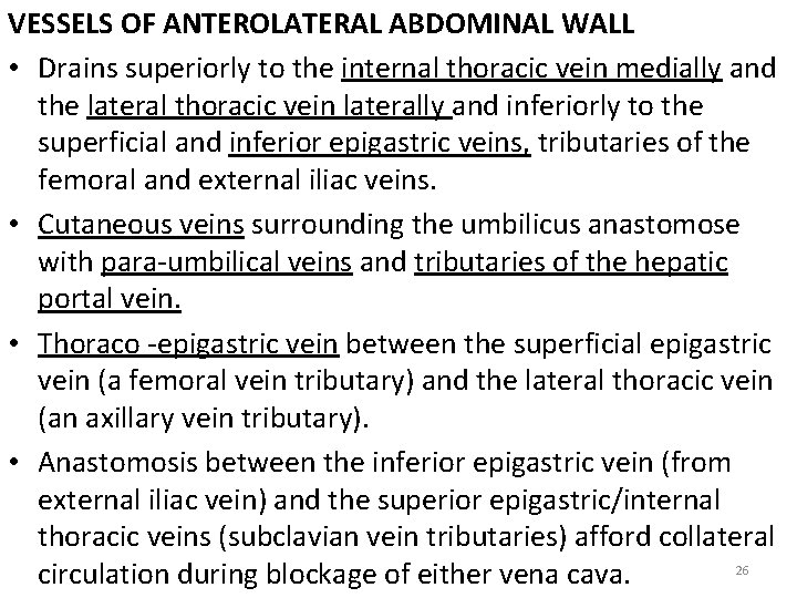 VESSELS OF ANTEROLATERAL ABDOMINAL WALL • Drains superiorly to the internal thoracic vein medially