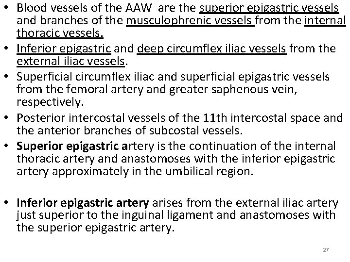  • Blood vessels of the AAW are the superior epigastric vessels and branches