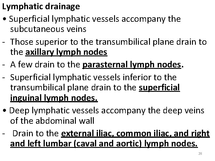 Lymphatic drainage • Superficial lymphatic vessels accompany the subcutaneous veins - Those superior to
