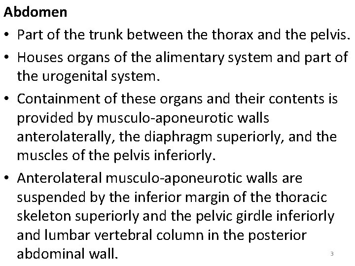 Abdomen • Part of the trunk between the thorax and the pelvis. • Houses