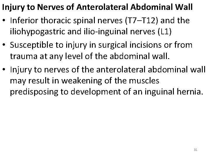 Injury to Nerves of Anterolateral Abdominal Wall • Inferior thoracic spinal nerves (T 7–T