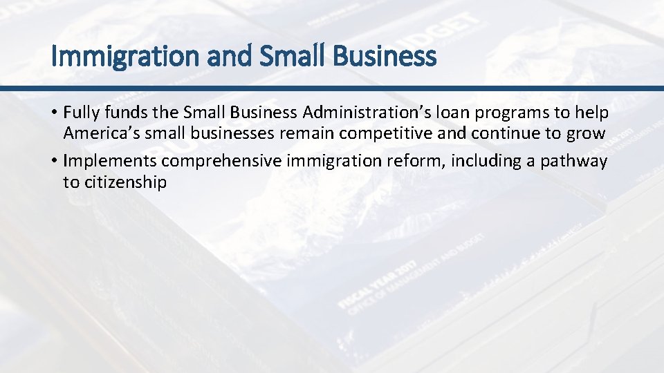 Immigration and Small Business • Fully funds the Small Business Administration’s loan programs to