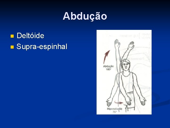 Abdução Deltóide n Supra-espinhal n 