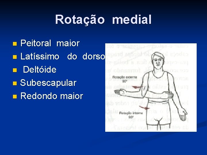 Rotação medial Peitoral maior n Latíssimo do dorso n Deltóide n Subescapular n Redondo