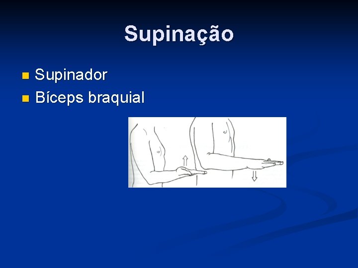 Supinação Supinador n Bíceps braquial n 