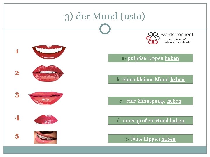 3) der Mund (usta) 1 2 3 a- pulpöse Lippen haben b- einen kleinen