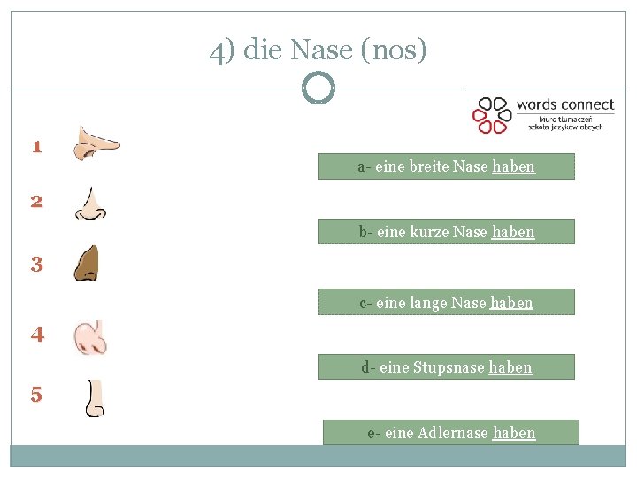 4) die Nase (nos) 1 a- eine breite Nase haben 2 b- eine kurze