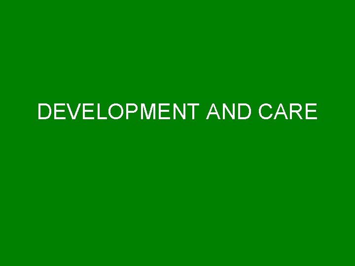 DEVELOPMENT AND CARE 